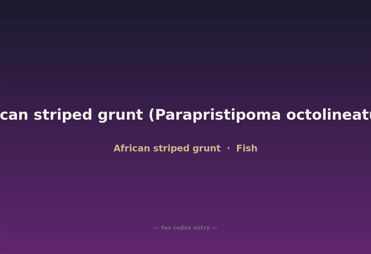 African striped grunt (Parapristipoma octolineatum)