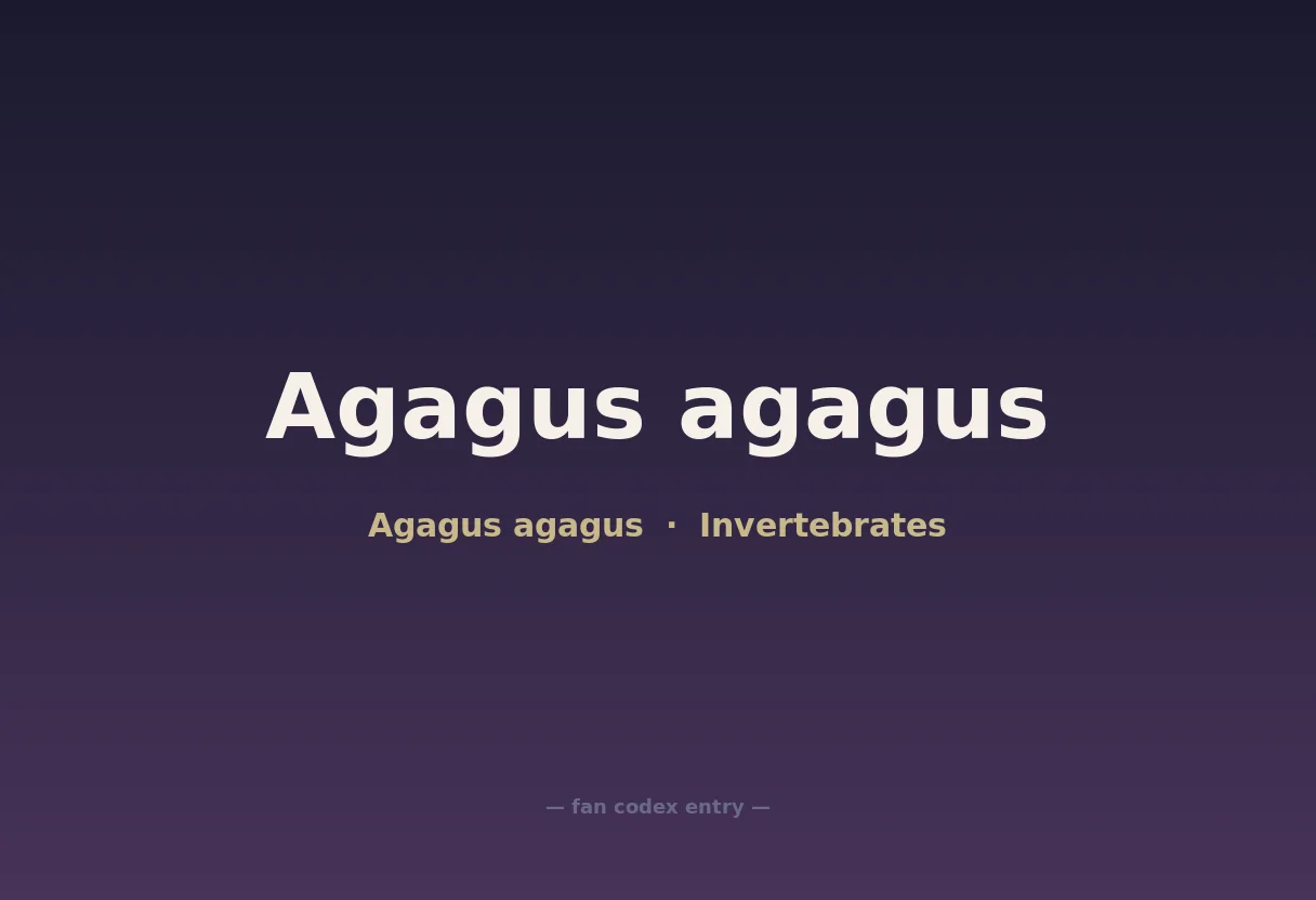 Agagus agagus