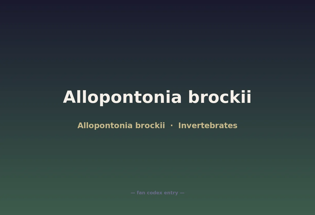 Allopontonia brockii