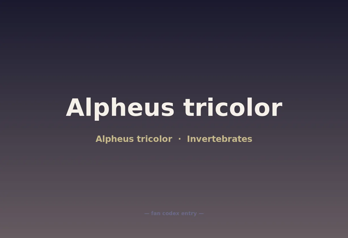 Alpheus tricolor