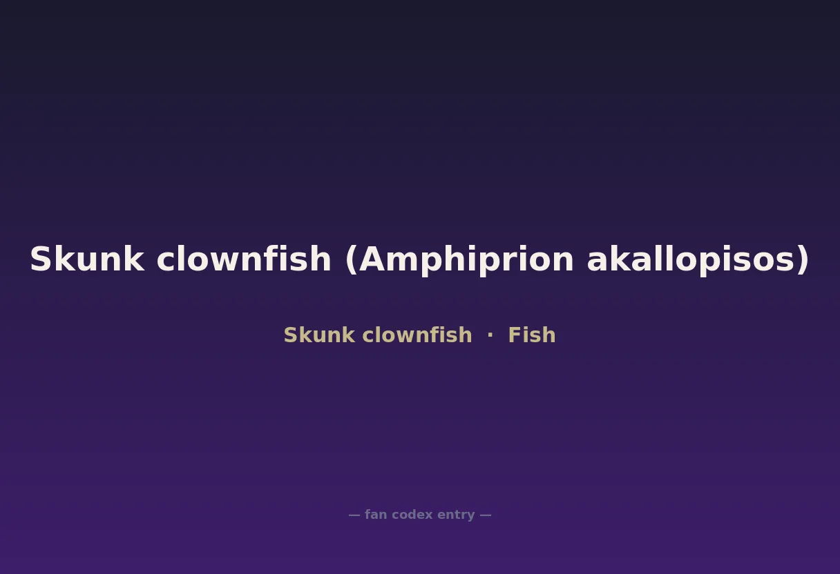 Skunk clownfish (Amphiprion akallopisos)