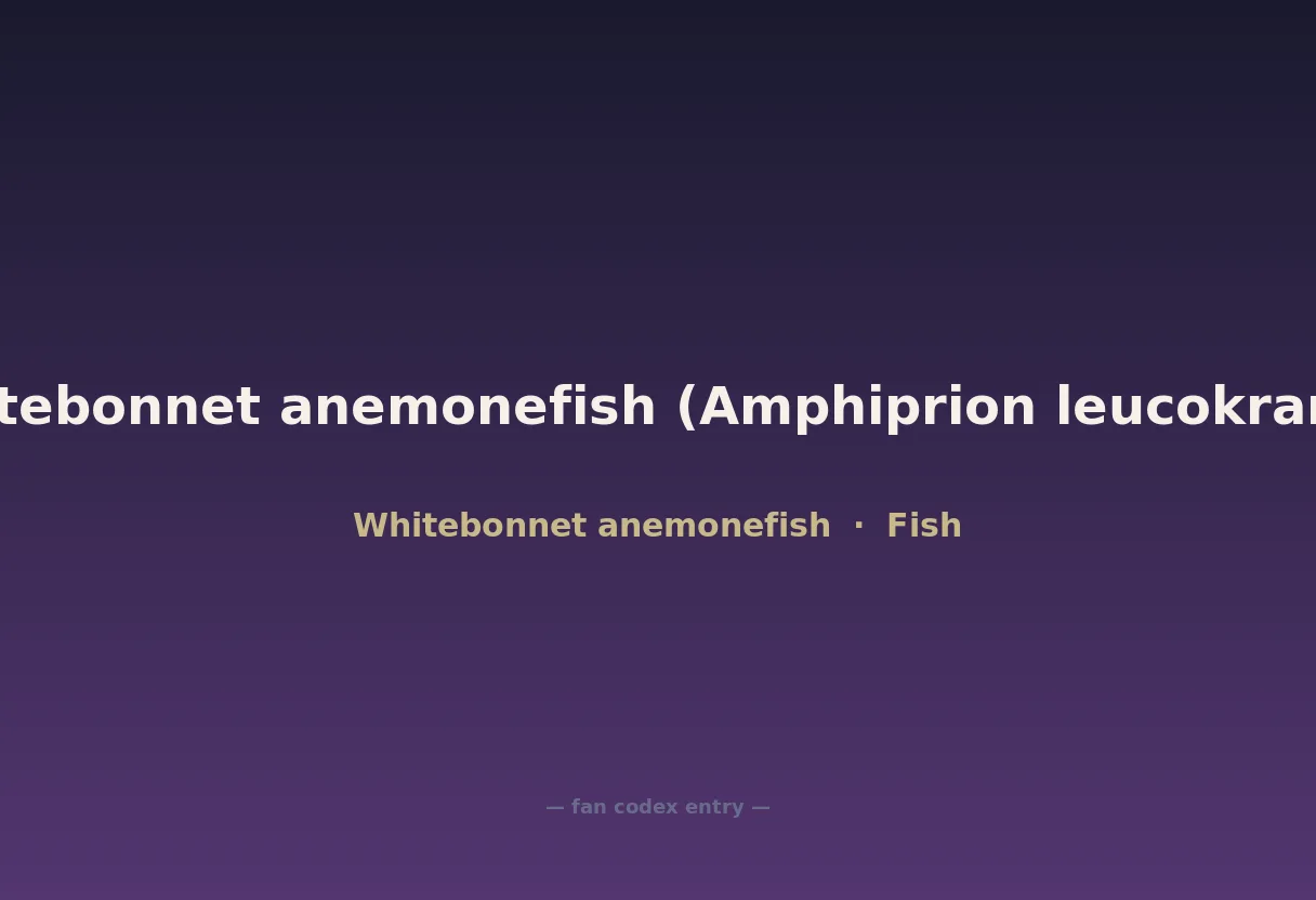 Whitebonnet anemonefish (Amphiprion leucokranos)