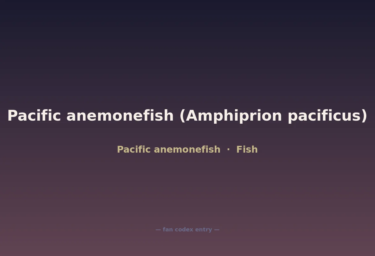 Pacific anemonefish (Amphiprion pacificus)