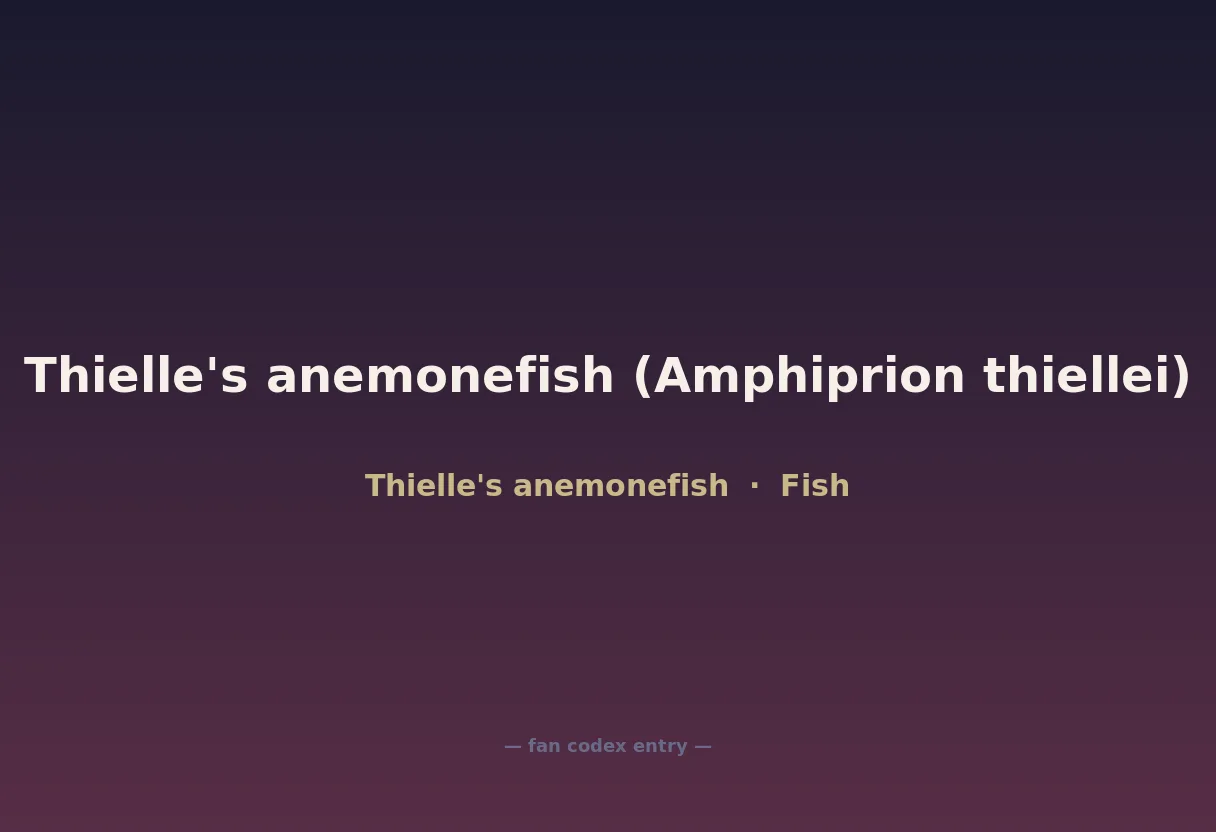 Thielle's anemonefish (Amphiprion thiellei)