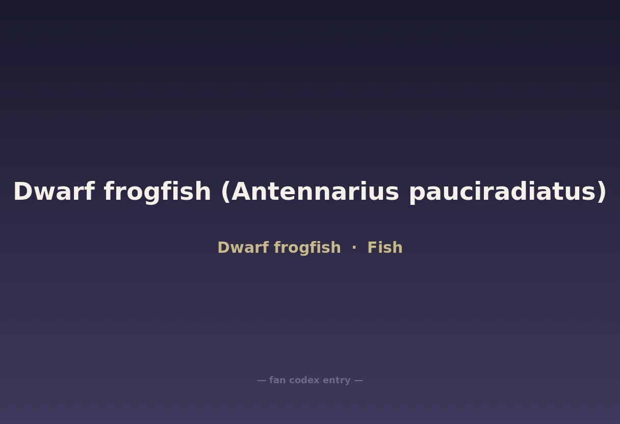 Dwarf frogfish (Antennarius pauciradiatus)