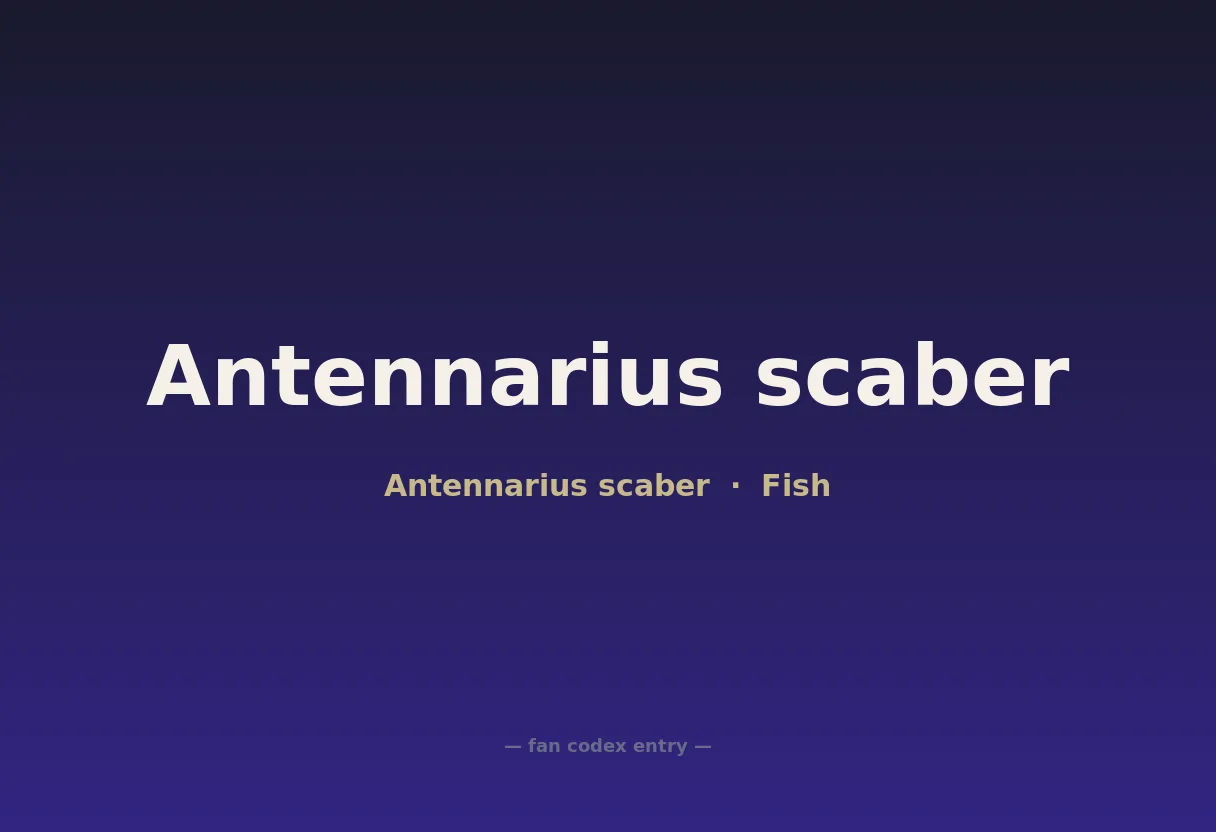 Antennarius scaber
