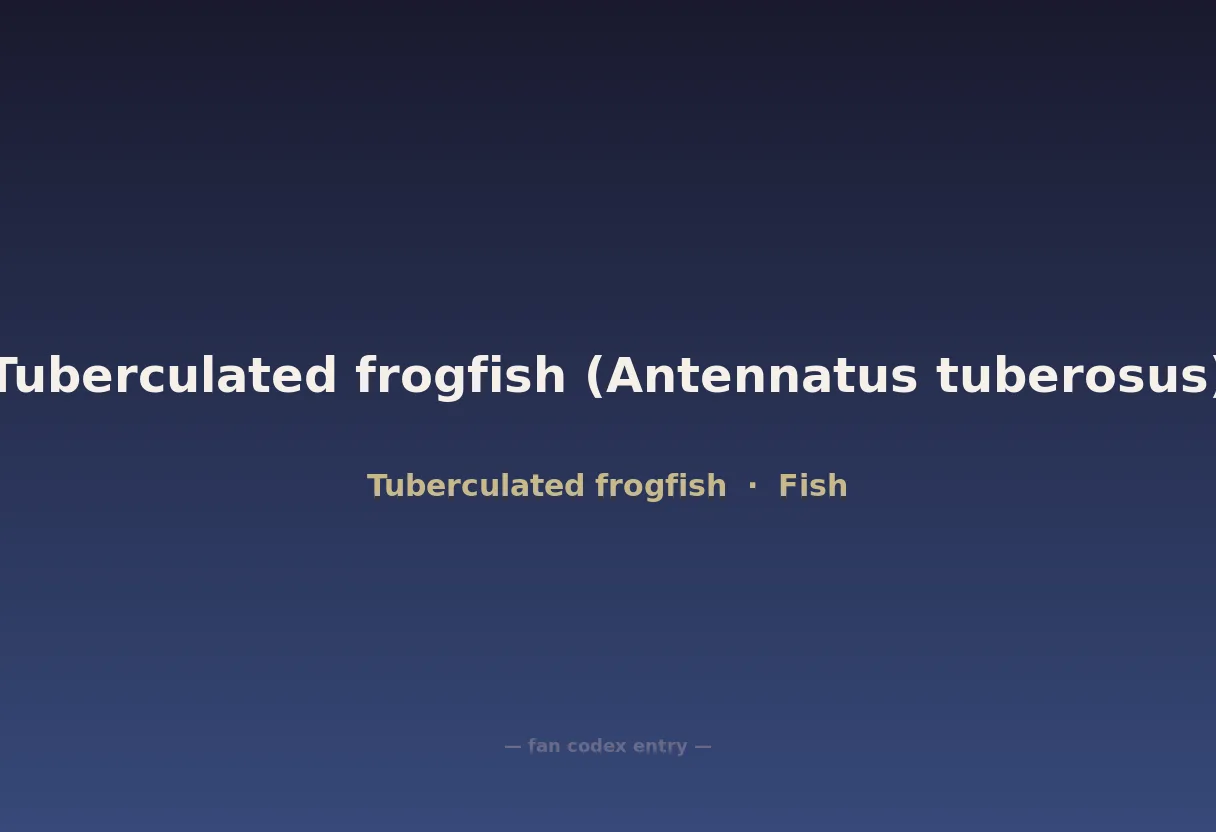 Tuberculated frogfish (Antennatus tuberosus)