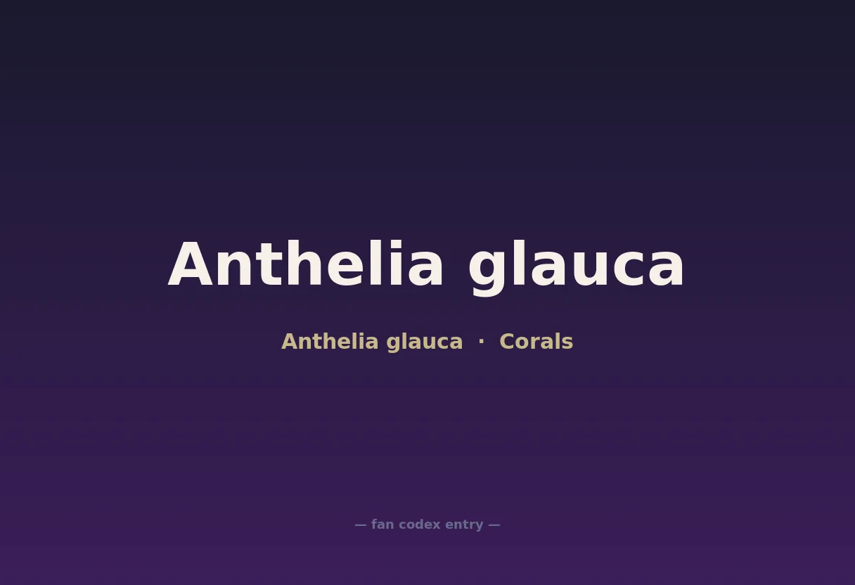Anthelia glauca