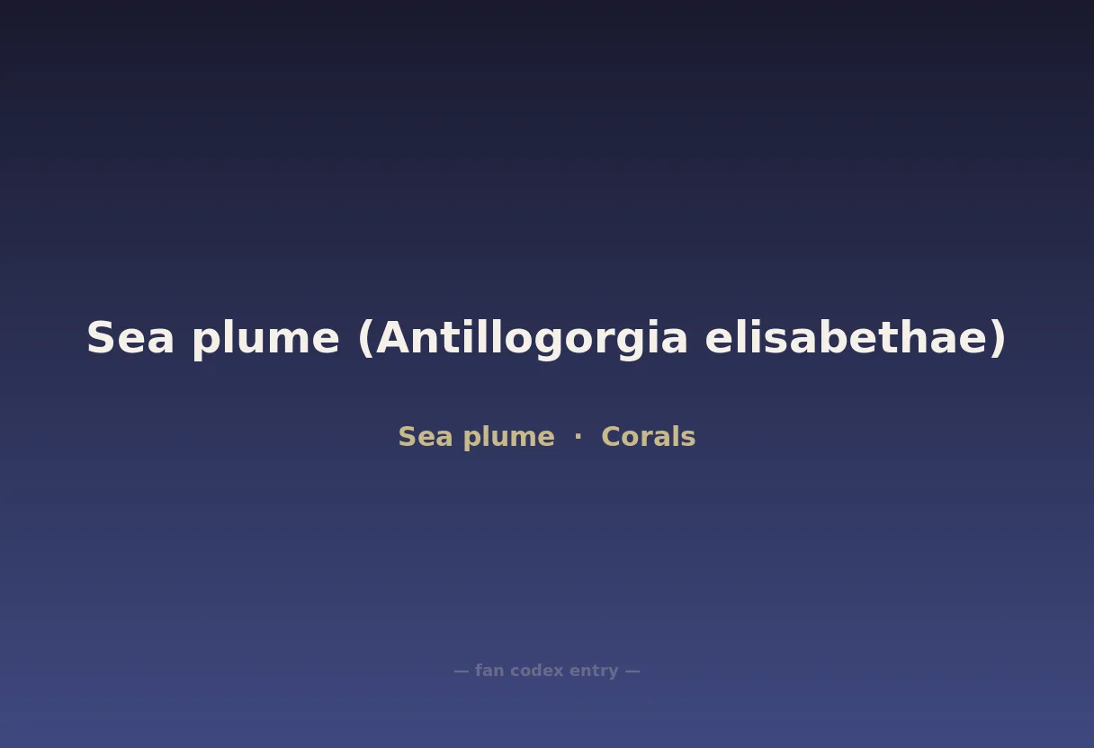 Sea plume (Antillogorgia elisabethae)