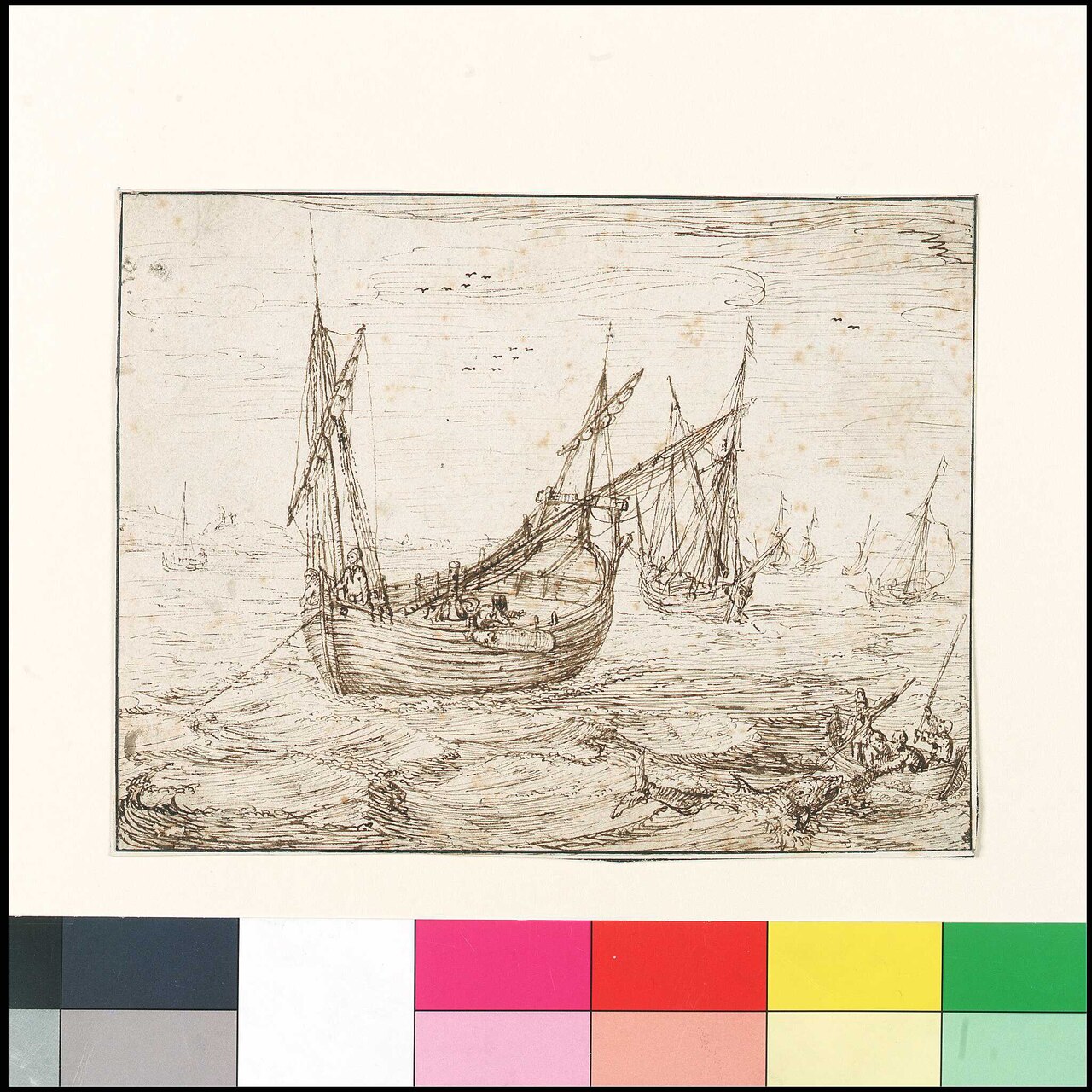 Where Cardinal fish has been recorded