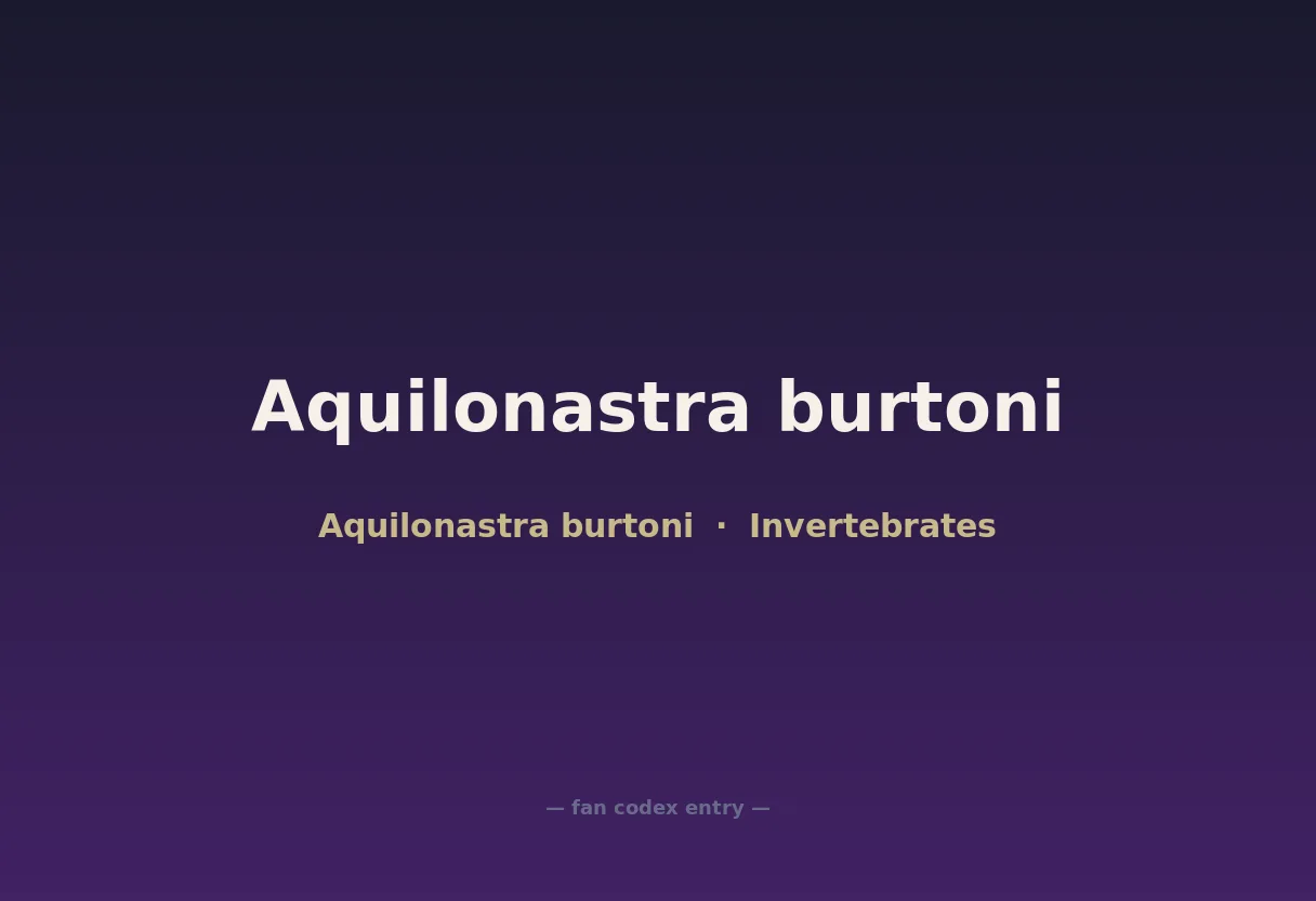 Aquilonastra burtoni