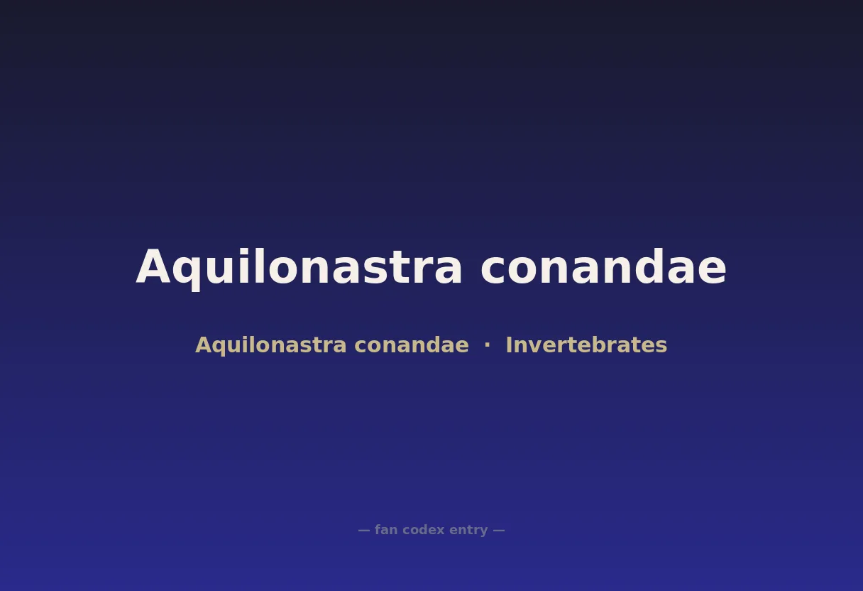Aquilonastra conandae