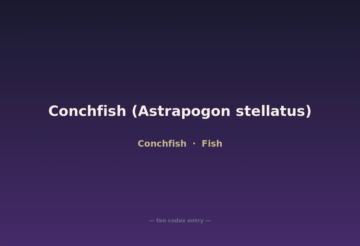 Conchfish (Astrapogon stellatus)
