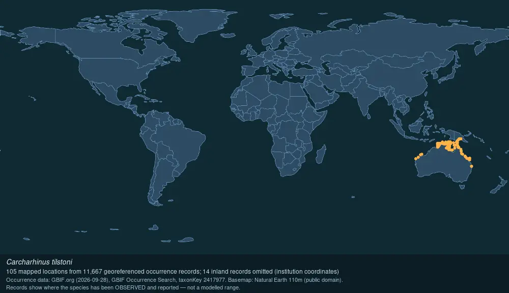 Where Australian blacktip shark has been recorded