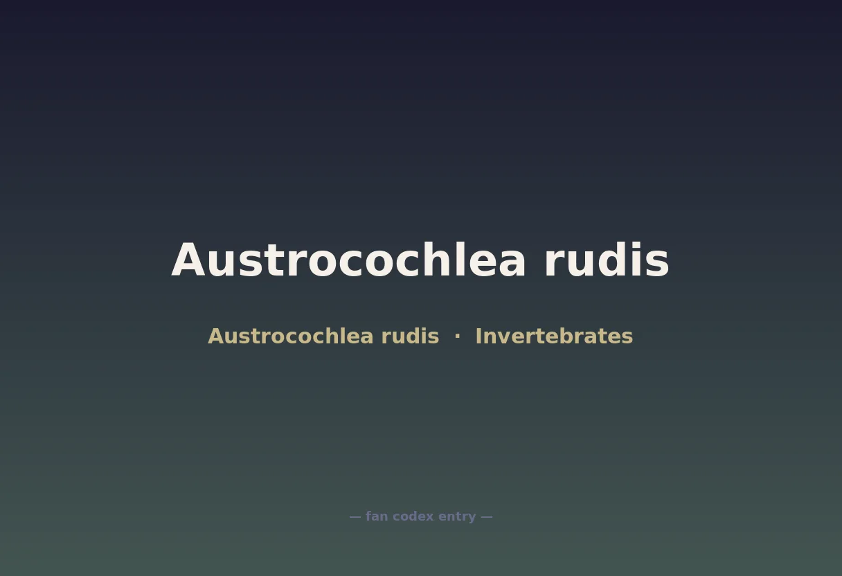 Austrocochlea rudis