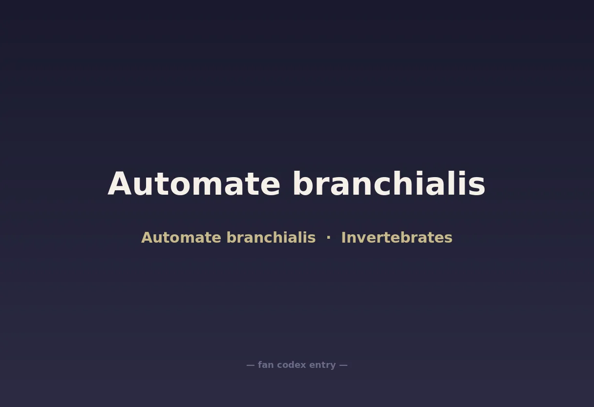 Automate branchialis