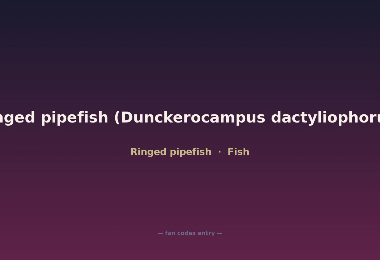 Ringed pipefish (Dunckerocampus dactyliophorus)