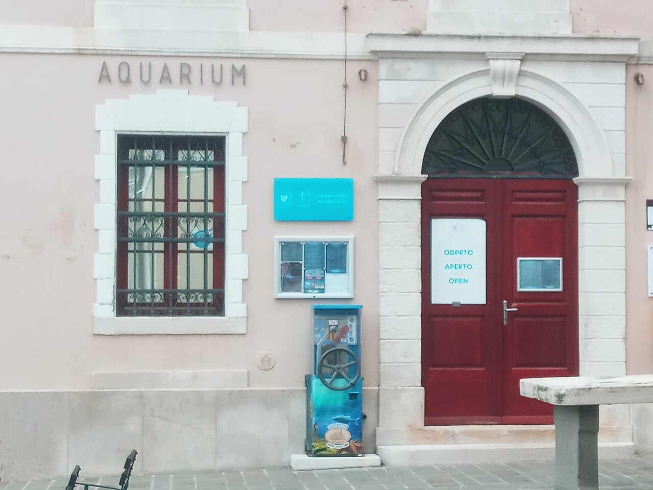 In the aquarium