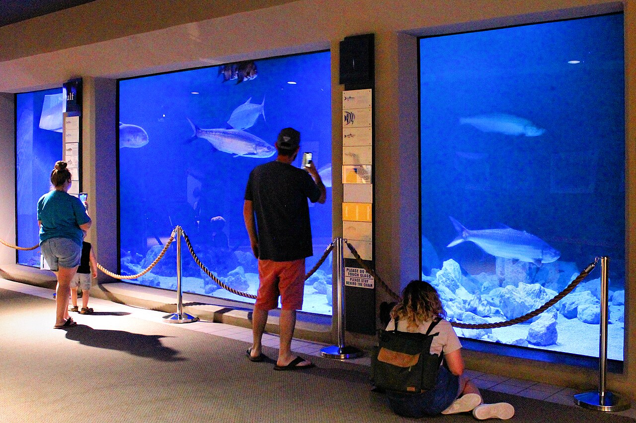 In the aquarium