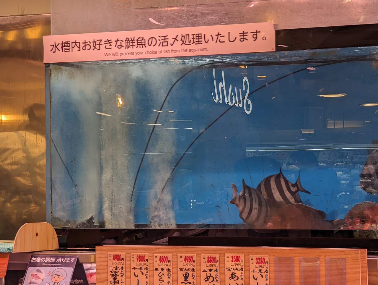 In the aquarium