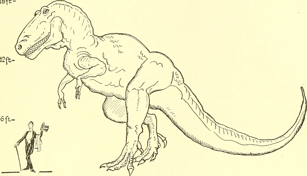 Biology and life history