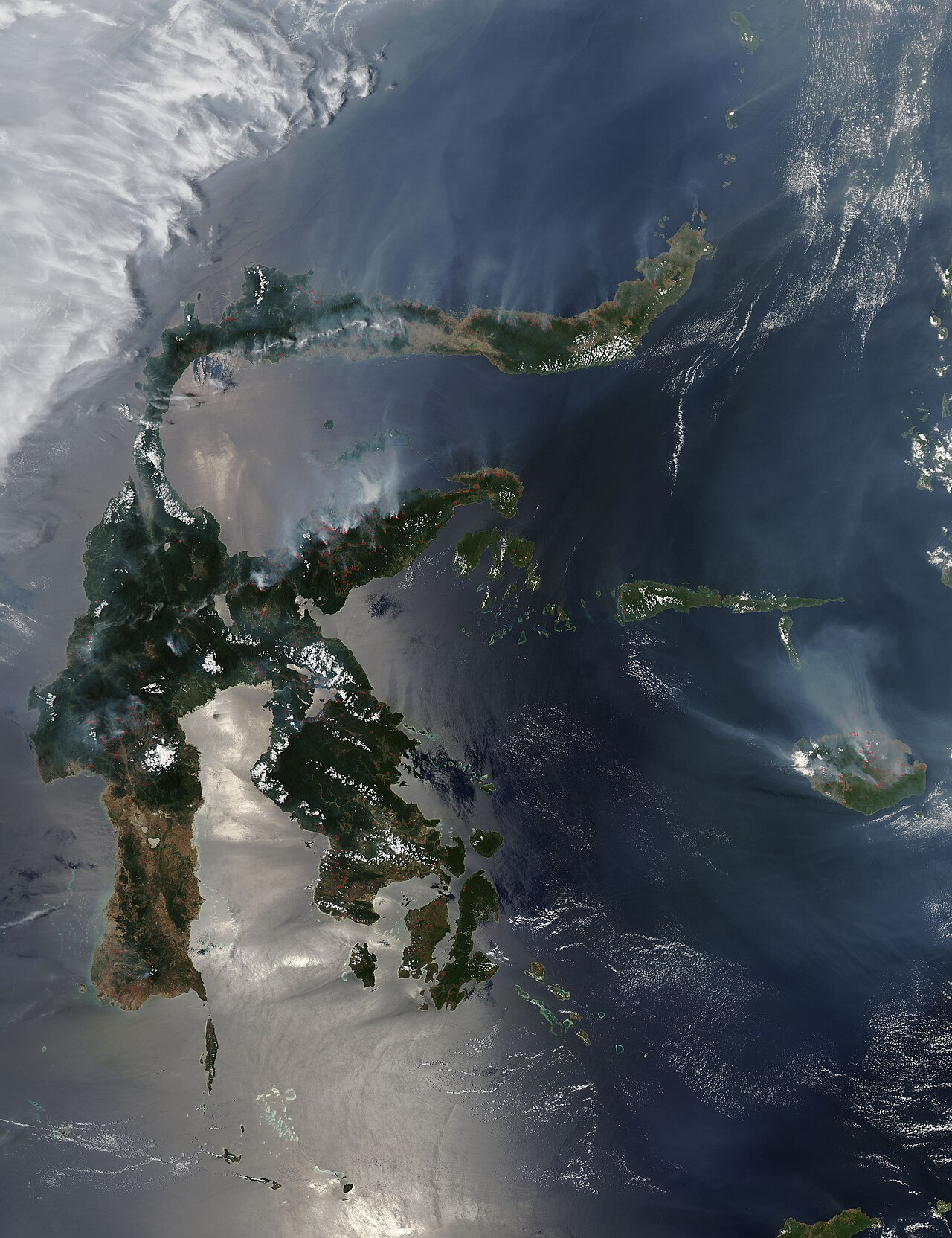 Sulawesi