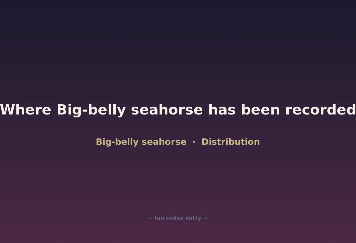 Where Big-belly seahorse has been recorded