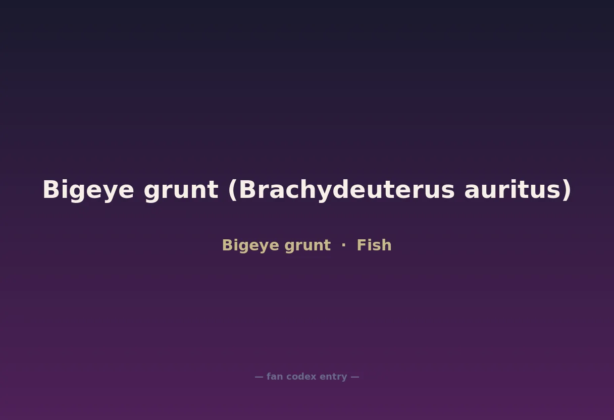 Bigeye grunt (Brachydeuterus auritus)
