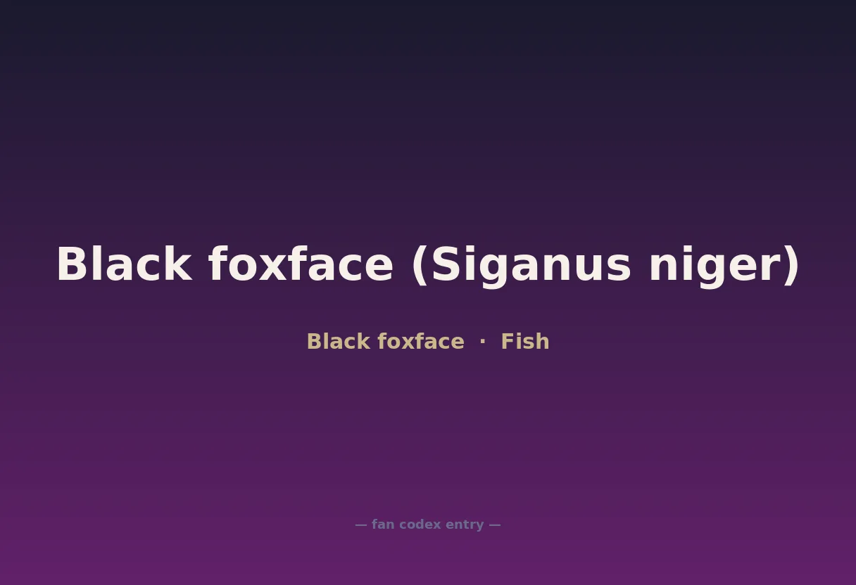 Black foxface (Siganus niger)