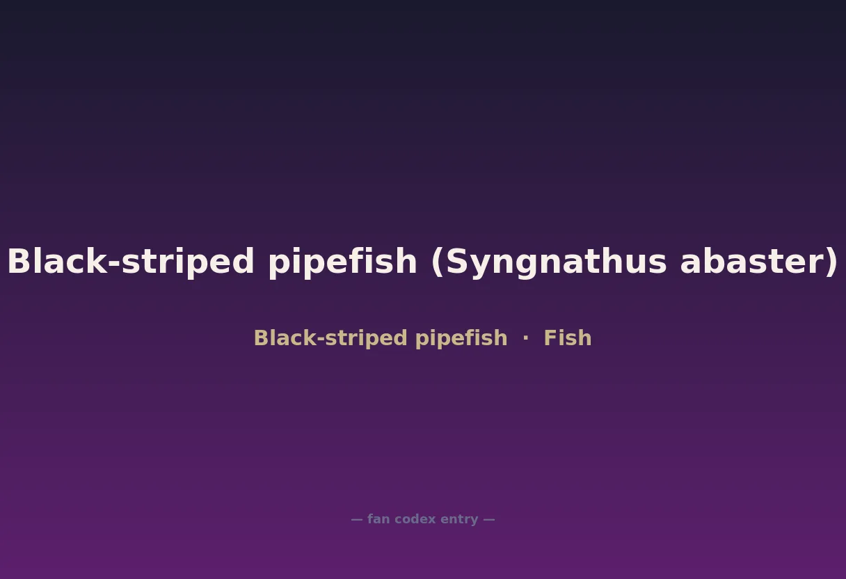 Black-striped pipefish (Syngnathus abaster)