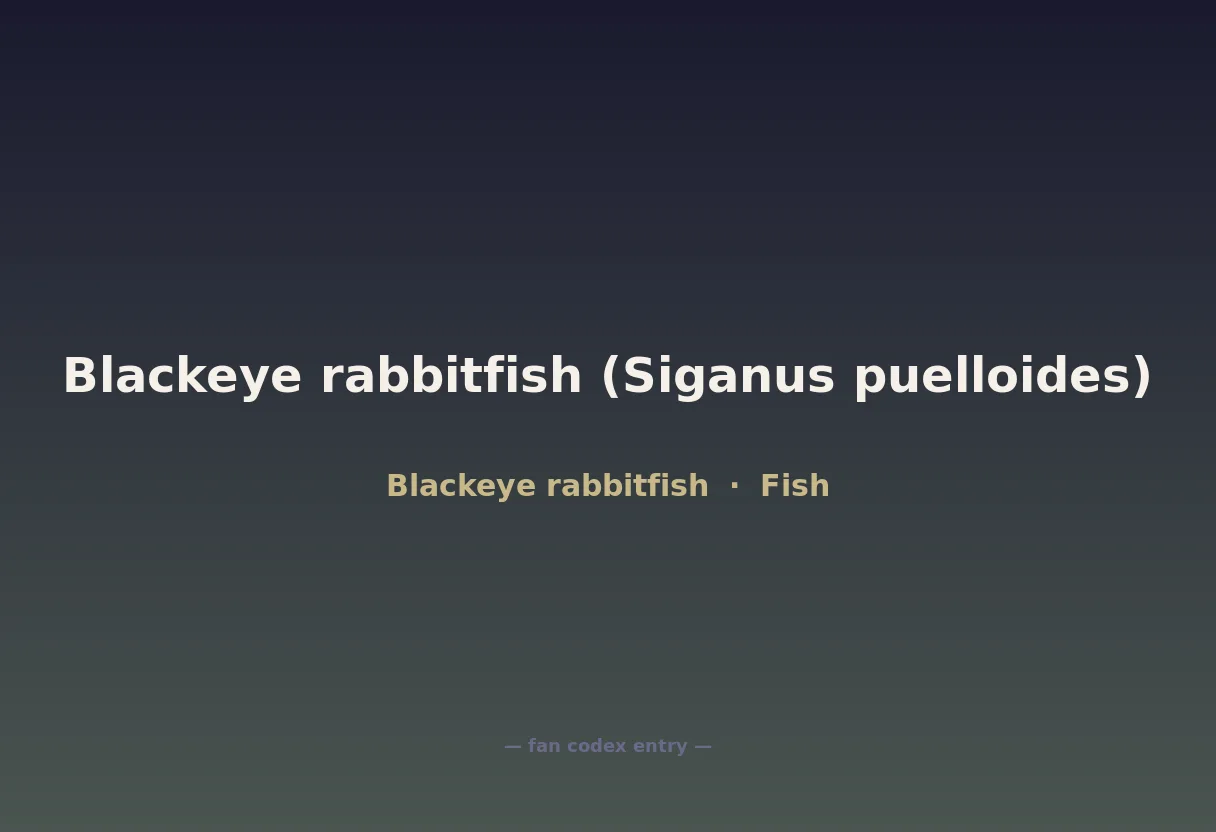 Blackeye rabbitfish (Siganus puelloides)