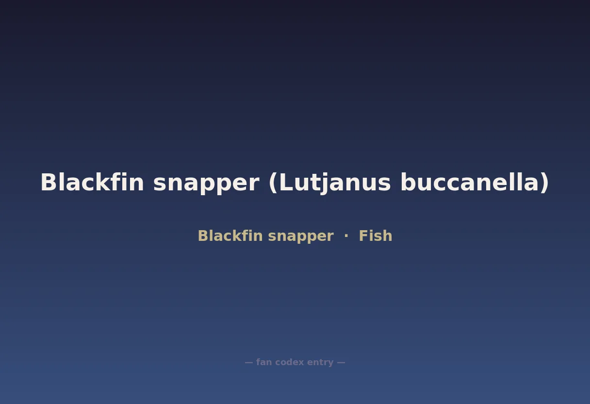Blackfin snapper (Lutjanus buccanella)