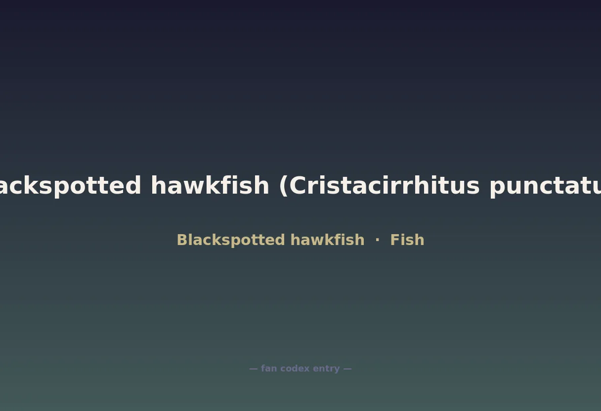 Blackspotted hawkfish (Cristacirrhitus punctatus)