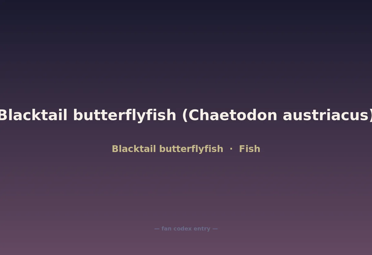 Blacktail butterflyfish (Chaetodon austriacus)