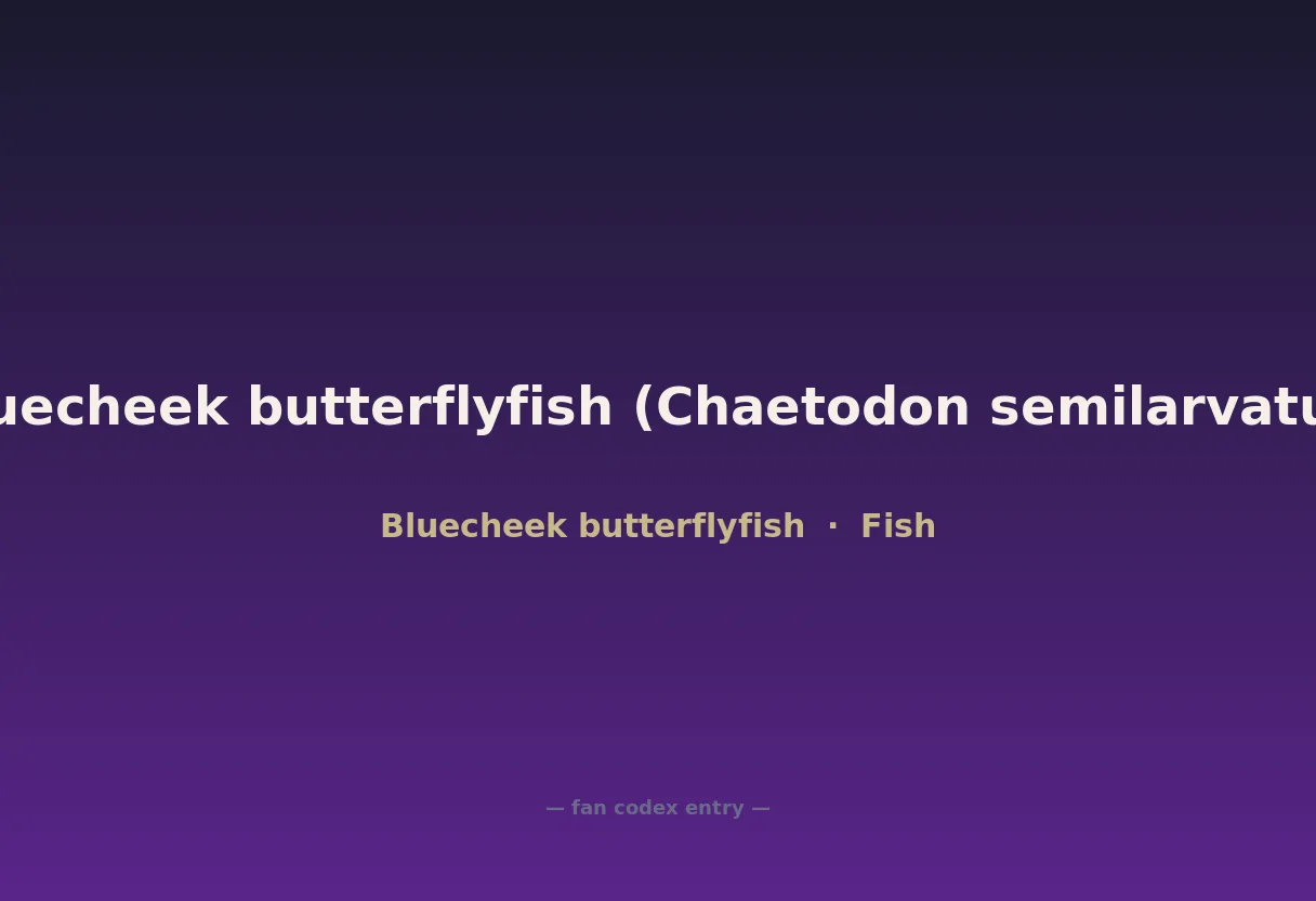 Bluecheek butterflyfish (Chaetodon semilarvatus)