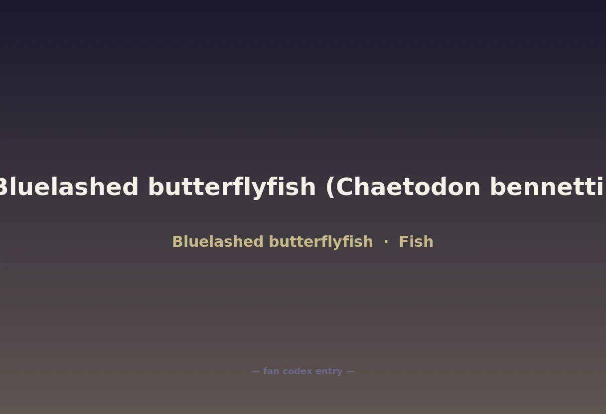 Bluelashed butterflyfish (Chaetodon bennetti)