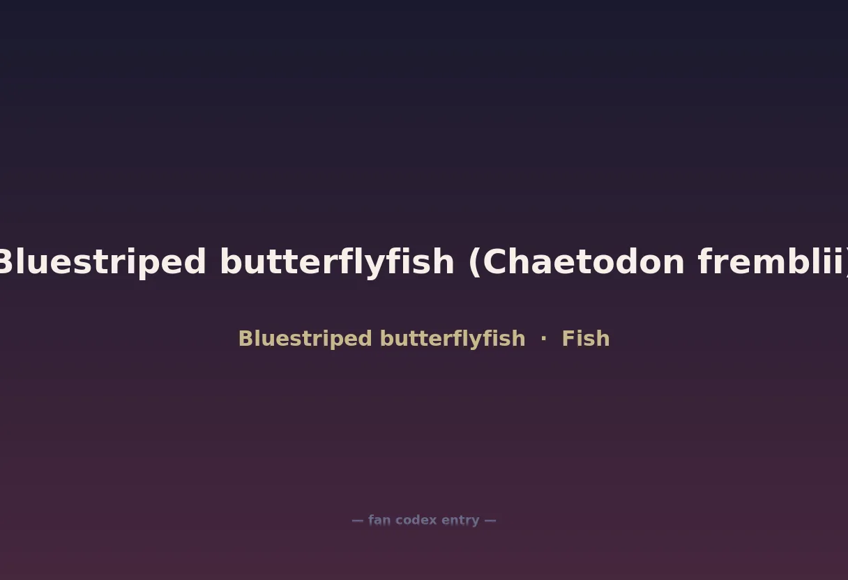 Bluestriped butterflyfish (Chaetodon fremblii)