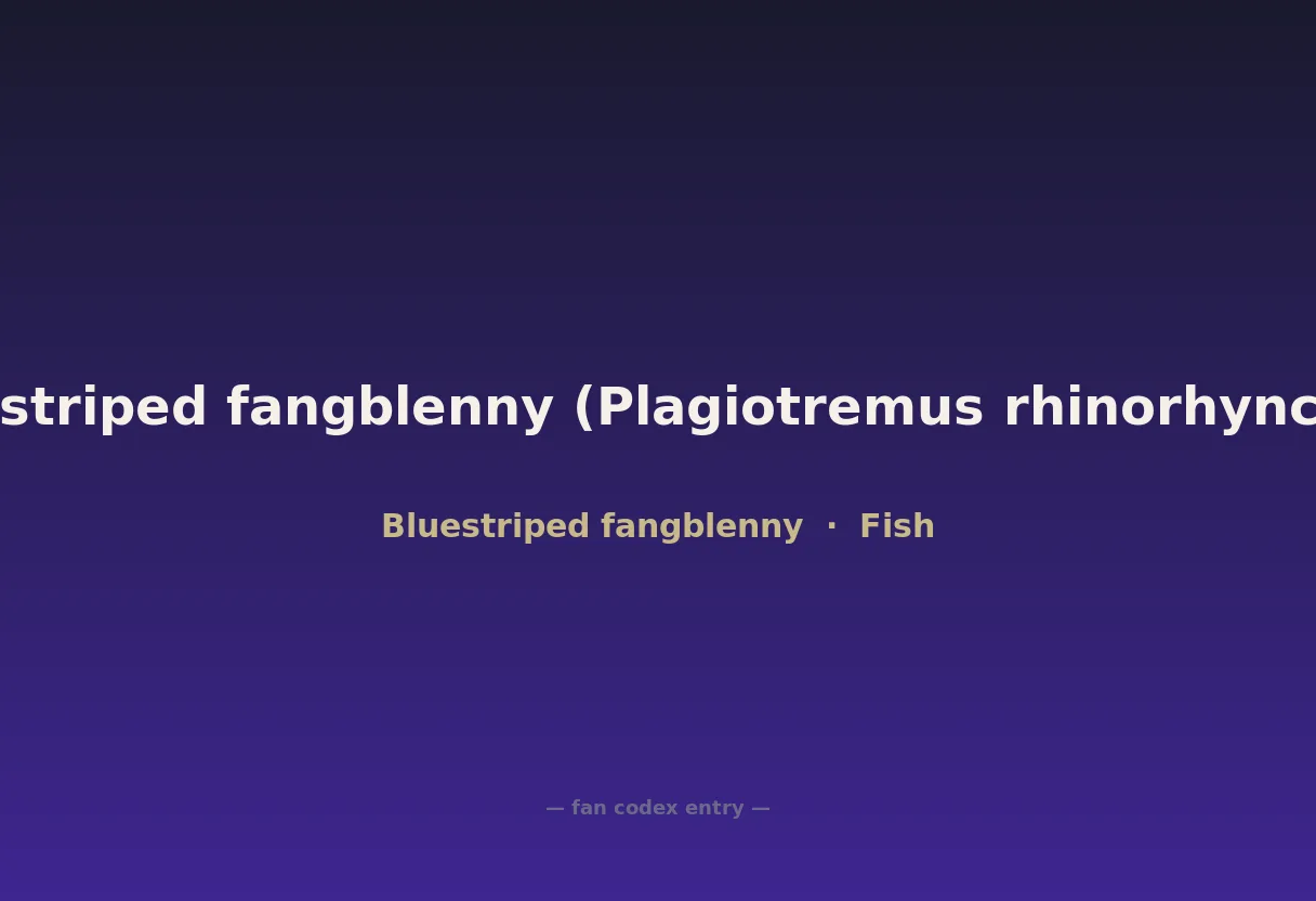 Bluestriped fangblenny (Plagiotremus rhinorhynchos)