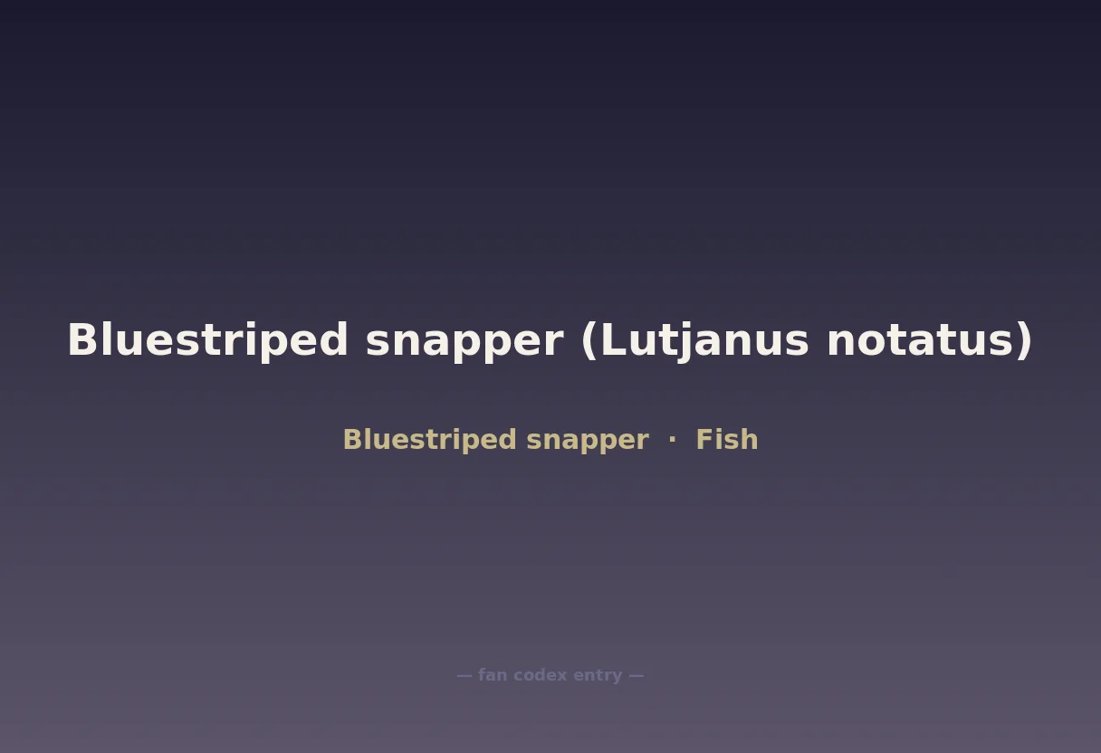 Bluestriped snapper (Lutjanus notatus)