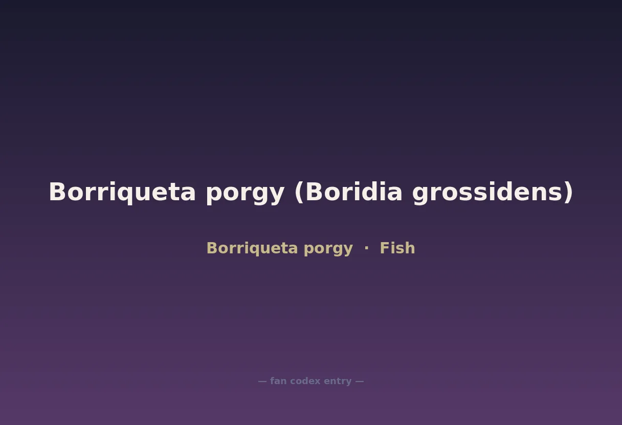 Borriqueta porgy (Boridia grossidens)