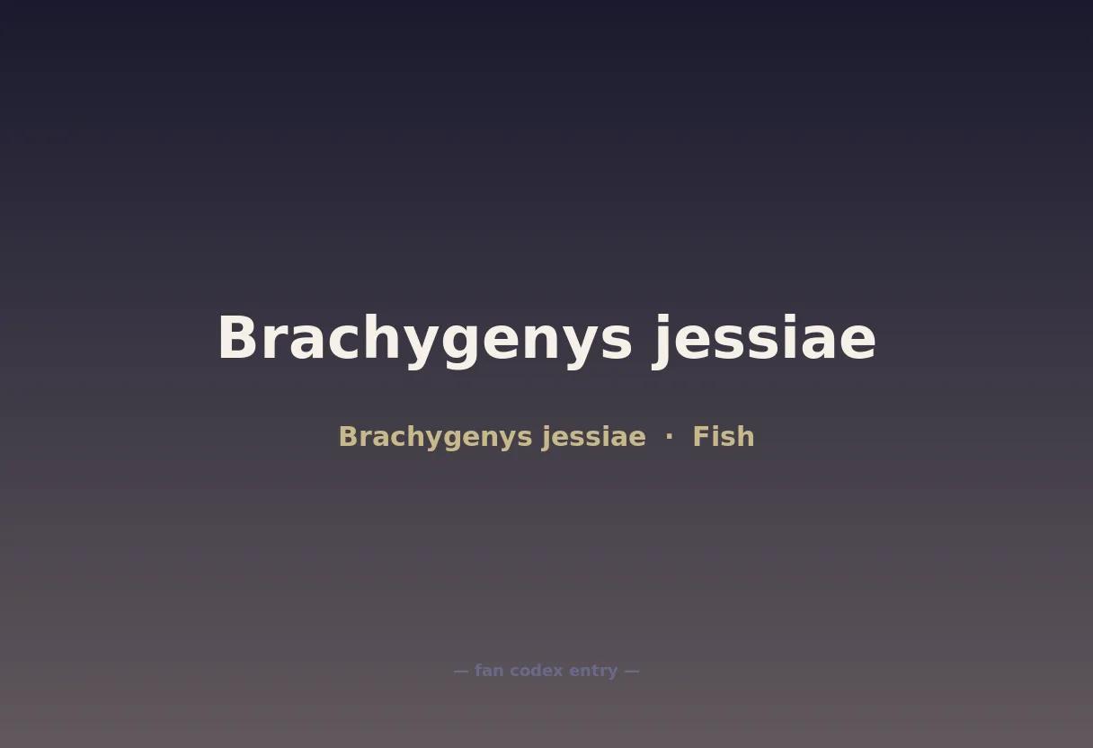 Brachygenys jessiae