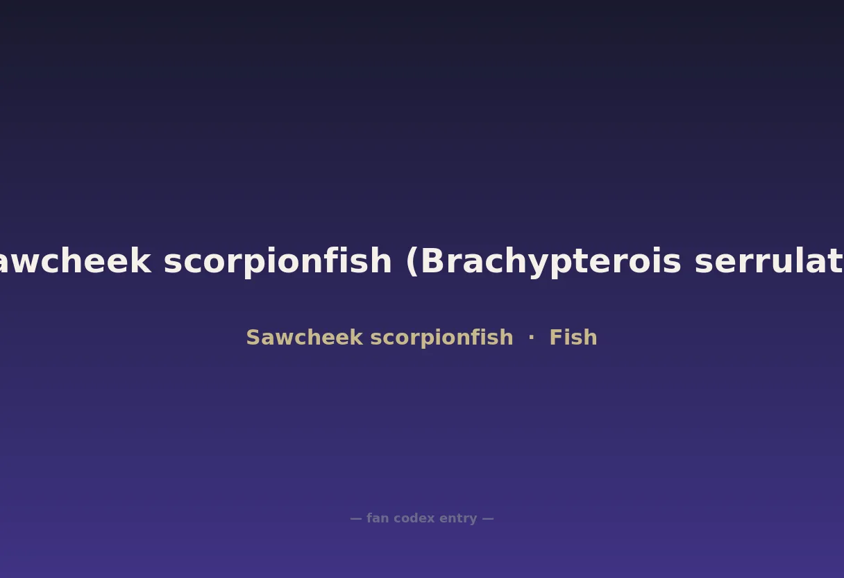 Sawcheek scorpionfish (Brachypterois serrulata)