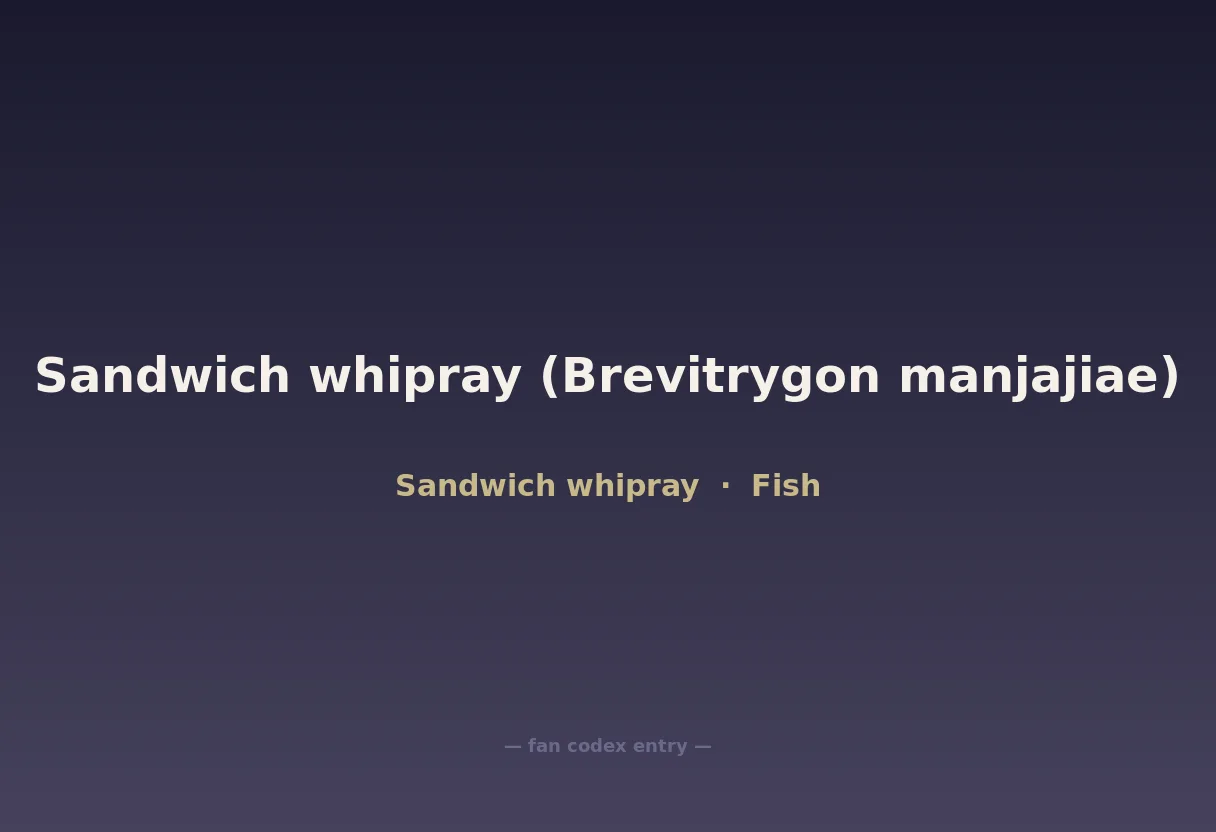 Sandwich whipray (Brevitrygon manjajiae)