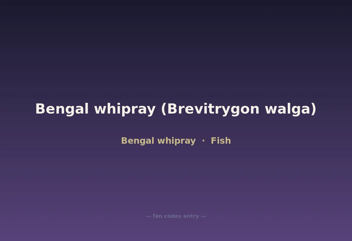 Bengal whipray (Brevitrygon walga)