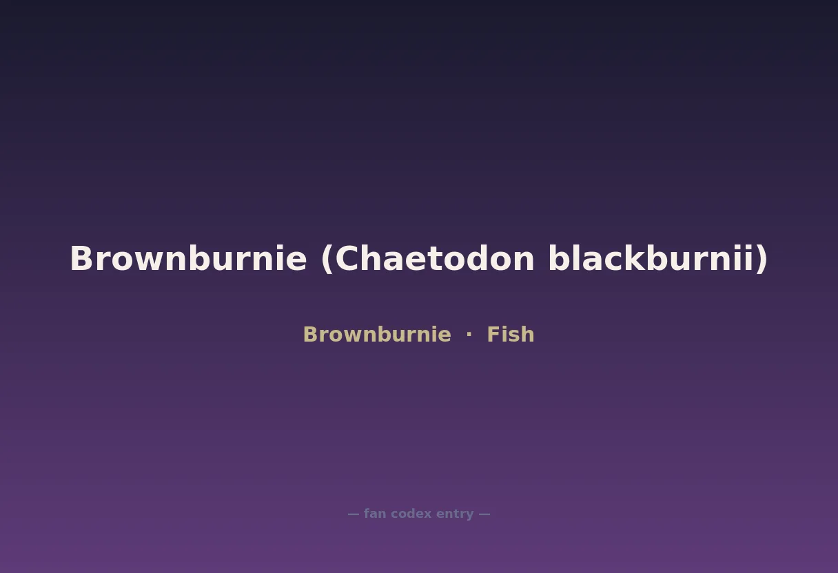 Brownburnie (Chaetodon blackburnii)