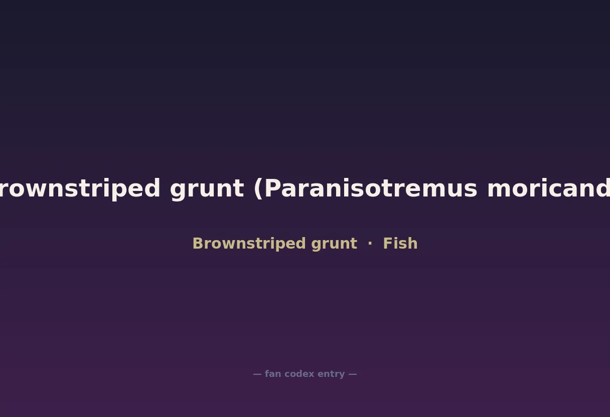 Brownstriped grunt (Paranisotremus moricandi)