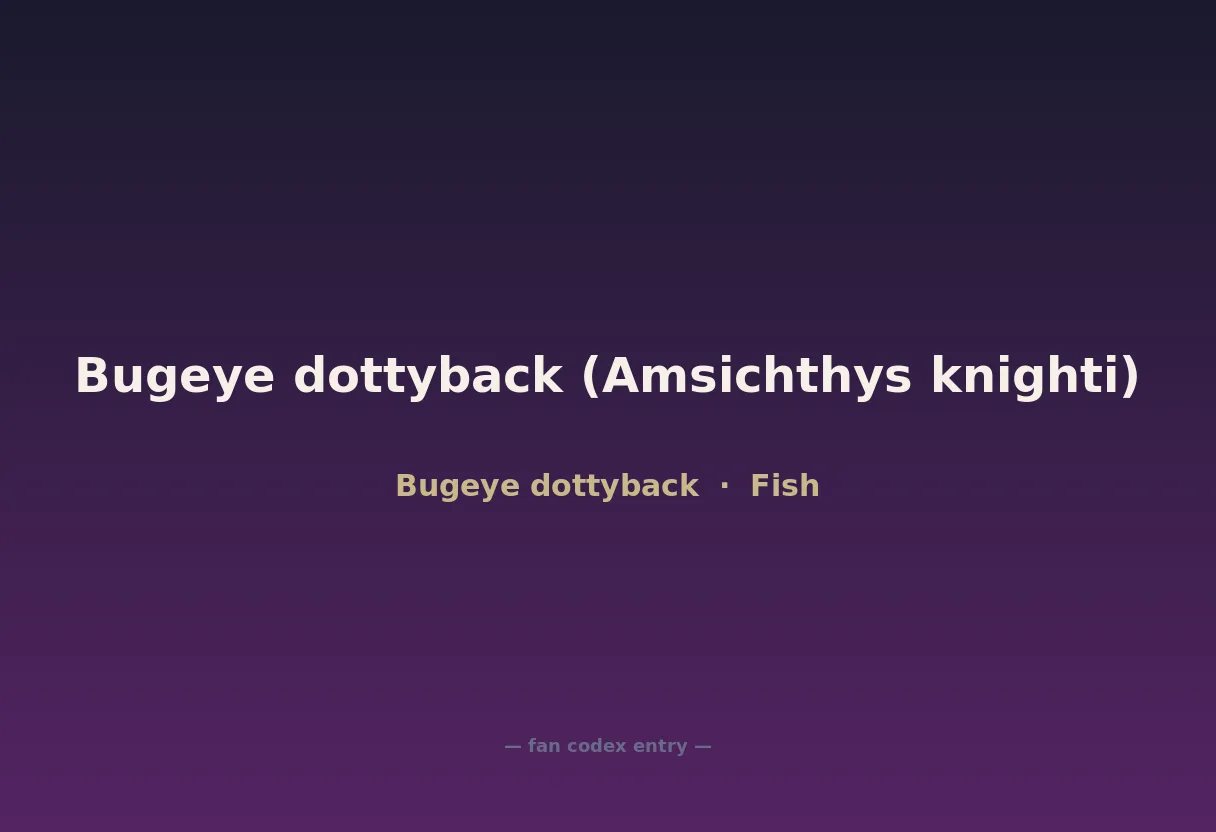 Bugeye dottyback (Amsichthys knighti)