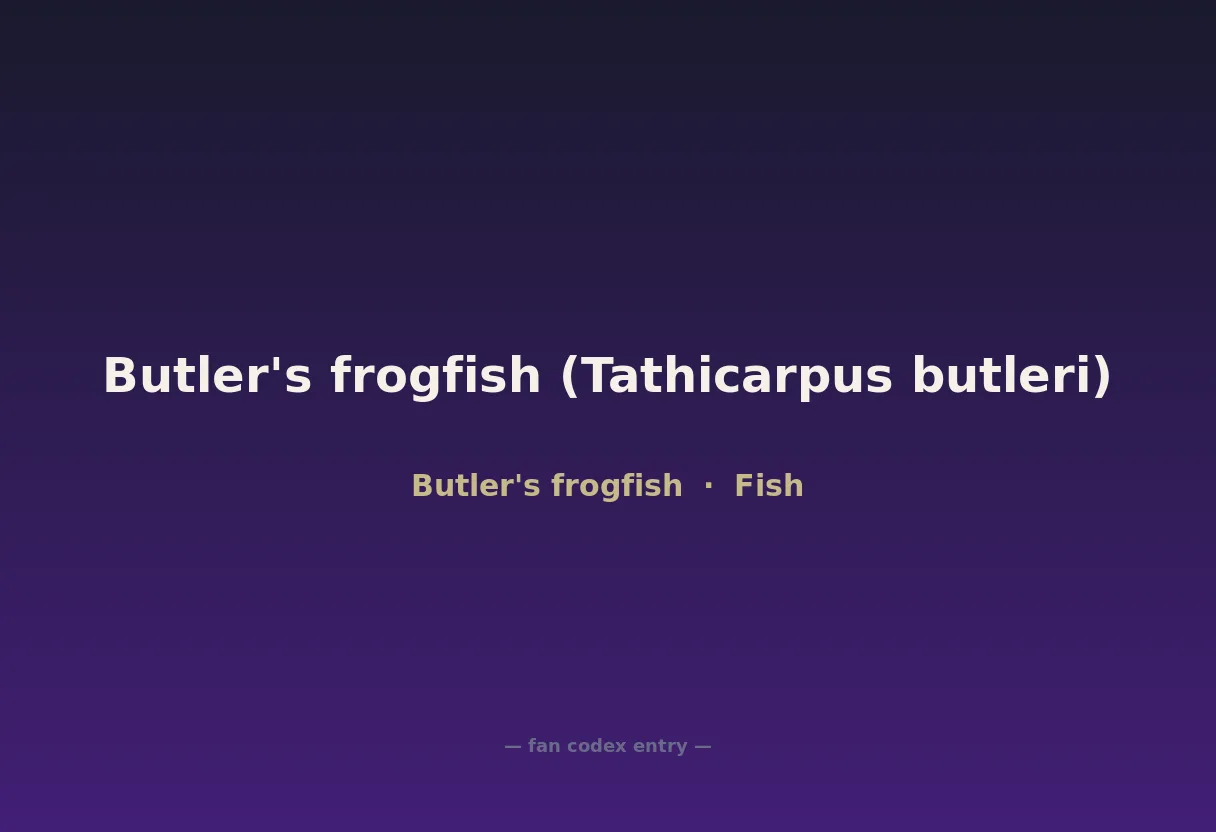 Butler's frogfish (Tathicarpus butleri)