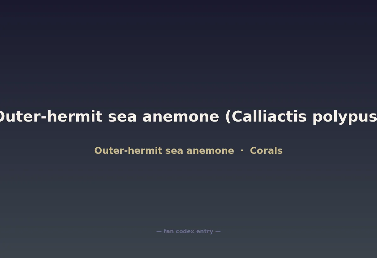 Outer-hermit sea anemone (Calliactis polypus)