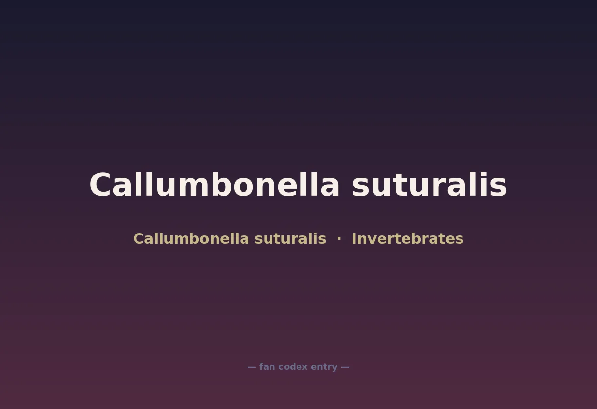 Callumbonella suturalis